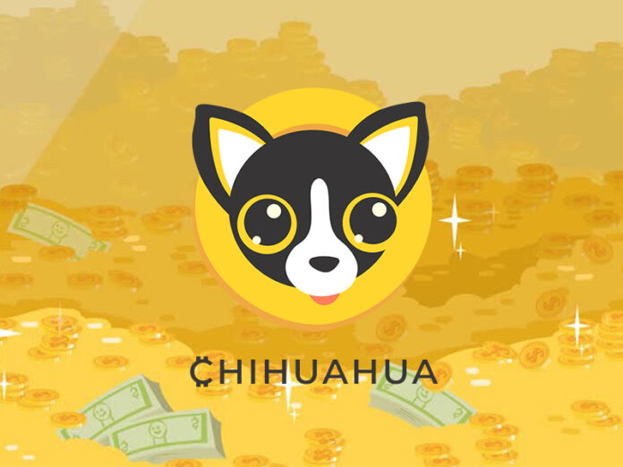 Chihuahua Coin